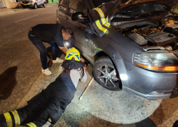 RESCATE DE FELINO ATRAPADO EN EL COMPARTIMENTO DEL MOTOR DE UN VEHÍCULO.