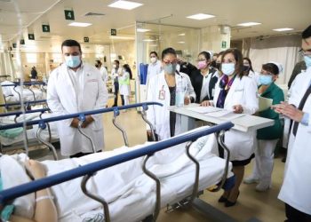 EN SANDONÁ (N), AGRICULTOR MURIÓ AL SER GOLPEADO POR UN ÁRBOL QUE CORTABAN CON ALGUNOS ALLEGADOS