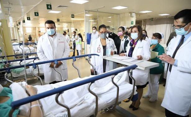 EN SANDONÁ (N), AGRICULTOR MURIÓ AL SER GOLPEADO POR UN ÁRBOL QUE CORTABAN CON ALGUNOS ALLEGADOS